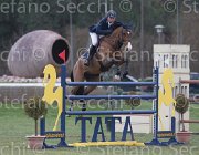 Lever Da Vinci's Pride TosTour 2013- S5 7743 : Arezzo Equestrian Centre, Da Vinci's Pride, Lever Philip, Toscana Tour 2013, foto di Stefano Secchi ©